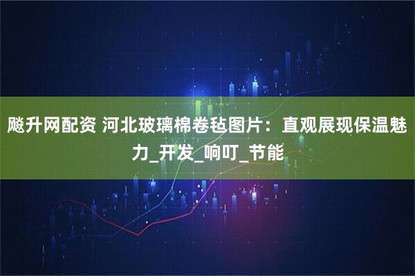 飚升网配资 河北玻璃棉卷毡图片：直观展现保温魅力_开发_响叮_节能