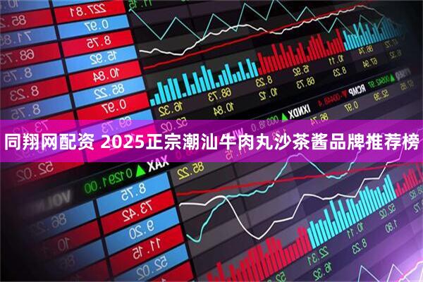 同翔网配资 2025正宗潮汕牛肉丸沙茶酱品牌推荐榜