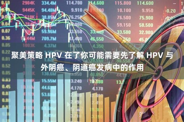 聚美策略 HPV 在了你可能需要先了解 HPV 与外阴癌、阴道癌发病中的作用