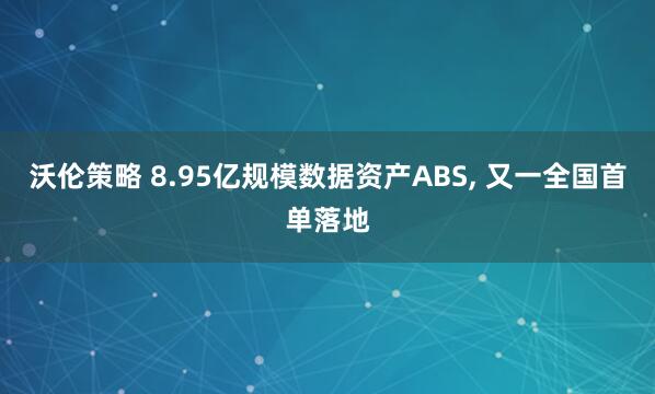 沃伦策略 8.95亿规模数据资产ABS, 又一全国首单落地
